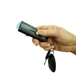 Streetwise USB Secure 22,000,000* Keychain Stun Gun BLACK