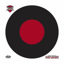 Birchwood Casey Dirty Bird 17.25in 3-Gun Nation Target 5 Pk