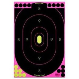 Birchwood Casey Shoot-N-C Pink 12x18 Silhouette Trgt 5 PK